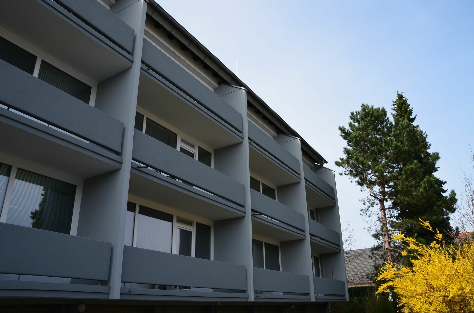 Neu Heidelberg - Guesthouse & Apartments Eksteriør bilde