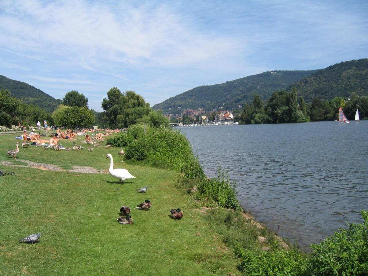 Neu Heidelberg - Guesthouse & Apartments Eksteriør bilde